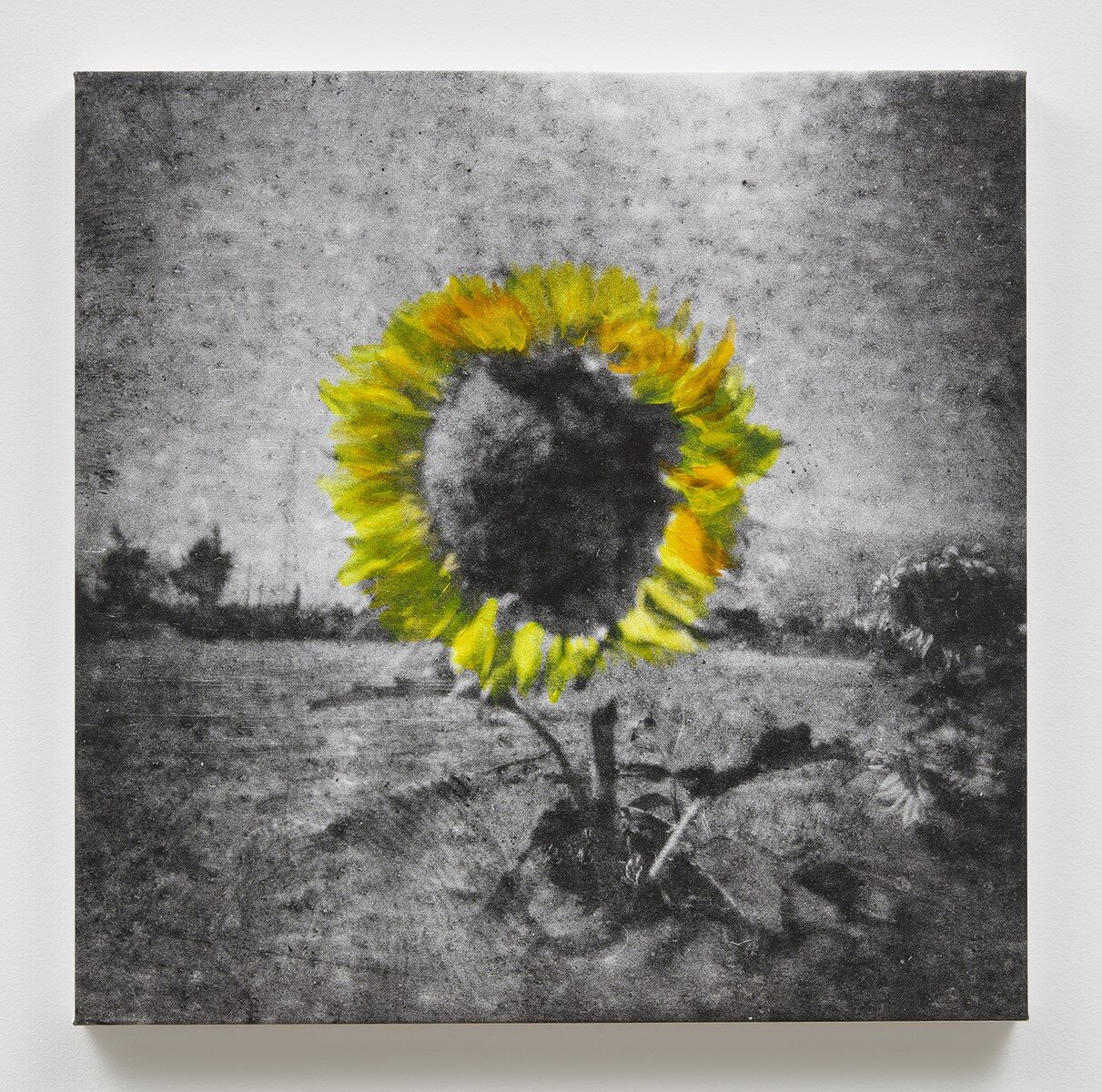 Ziad Antar, <i>Rest</i>, 2024. Acrylic on photography-printed canvas, 31 1/4 x 31 1/2 in (79.4 x 80 cm)